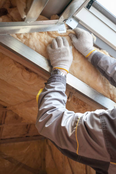 Best Insulation Installation Services in Villa Hills, KY